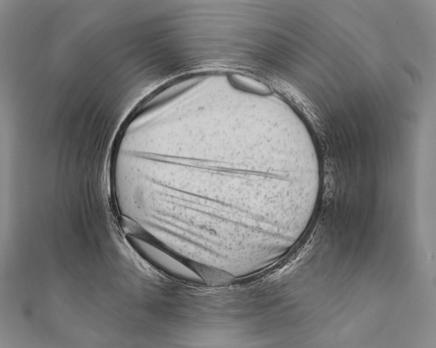 X0000110690892200907101146