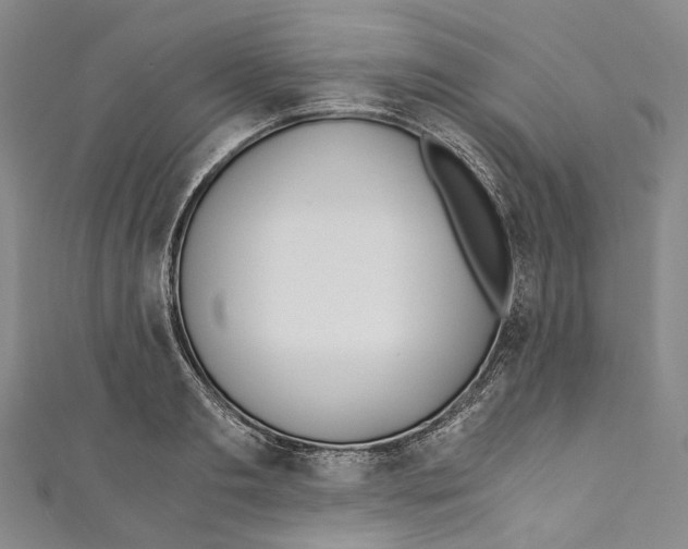 X0000110690893200907101146