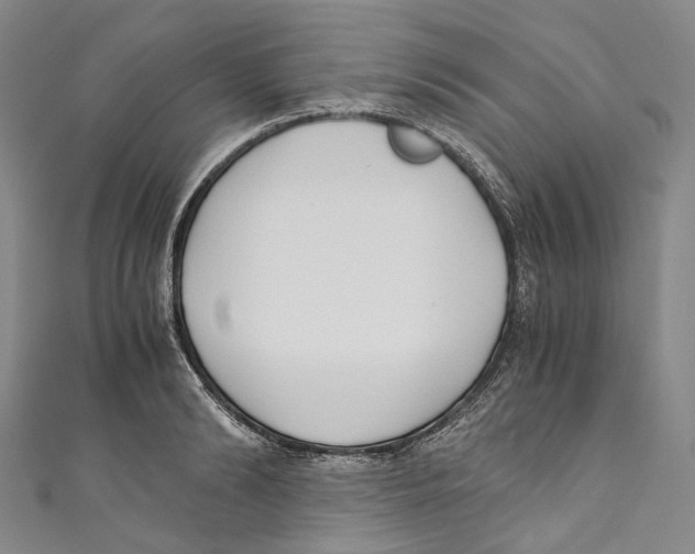 X0000110690894200907101146