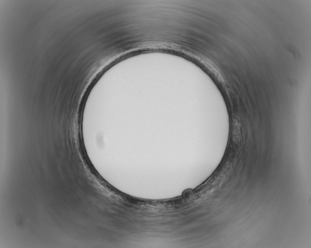 X0000110690895200907101146