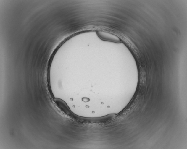 X0000110690896200907101146