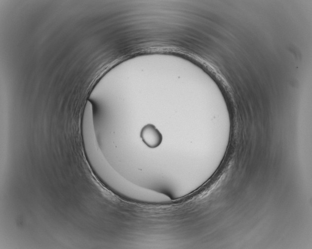 X0000110690897200907101146