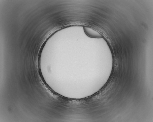 X0000110690898200907101146