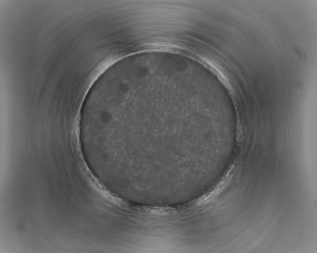 X0000110690899200907101146