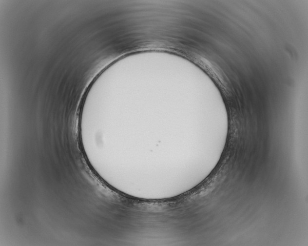 X0000110690900200907101146