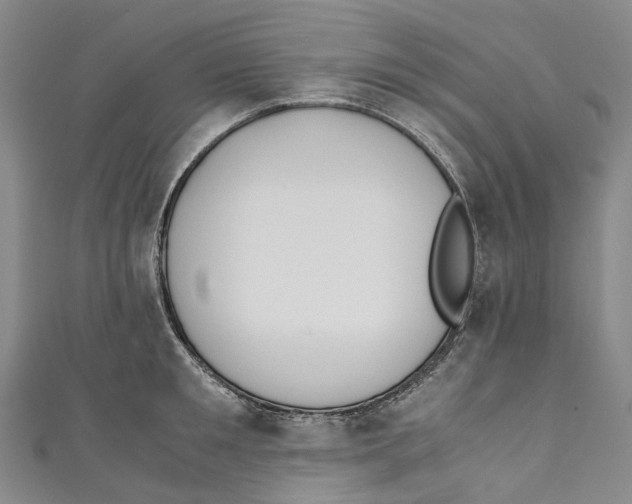 X0000110690901200907101146