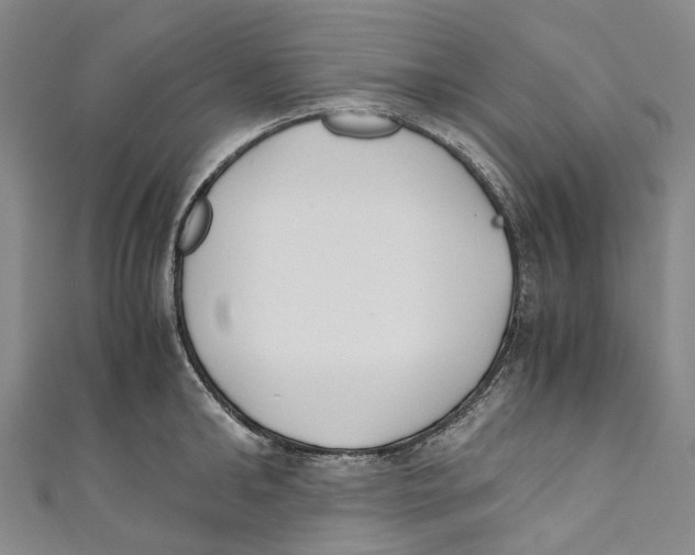 X0000110690902200907101146