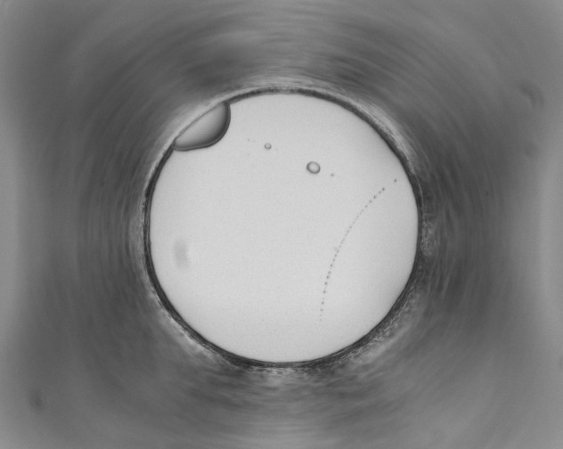 X0000110690903200907101146