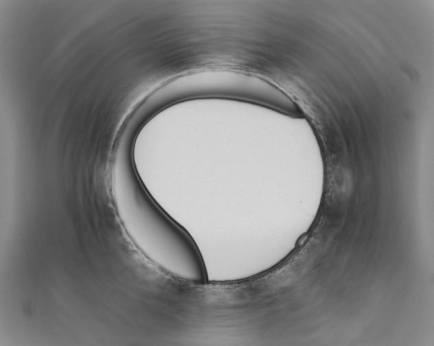 X0000110690904200907101146