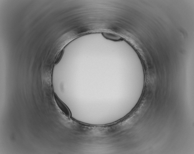 X0000110690905200907101146