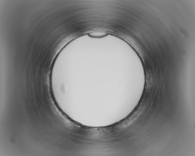 X0000110690906200907101146