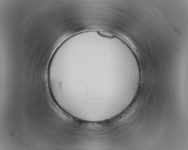 X0000110690907200907101146