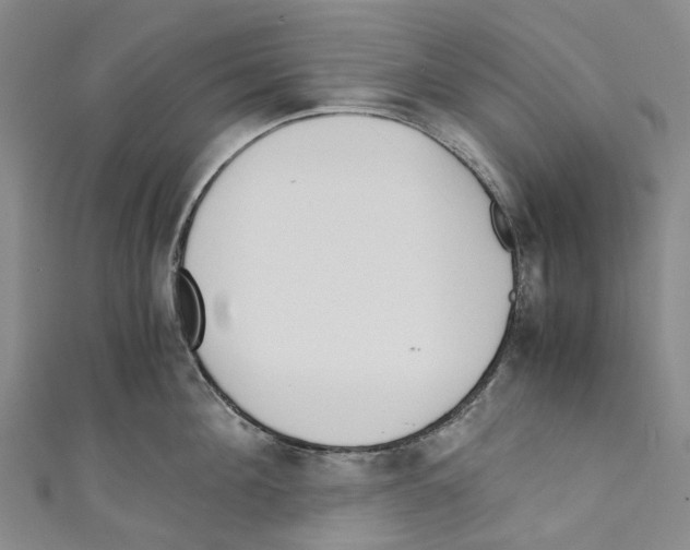 X0000110690908200907101146