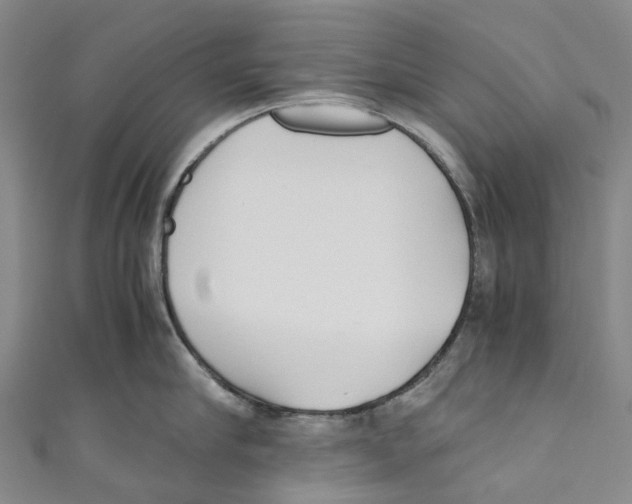 X0000110690910200907101146