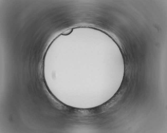 X0000110690911200907101146