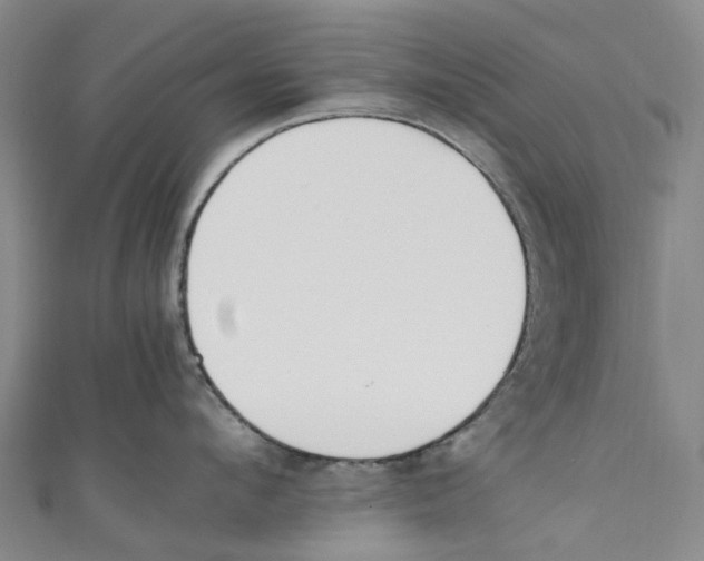 X0000110690912200907101146