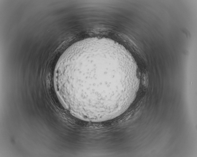 X0000110690915200907101145