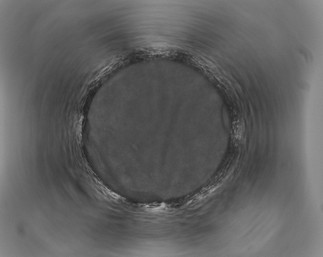 X0000110690916200907101145