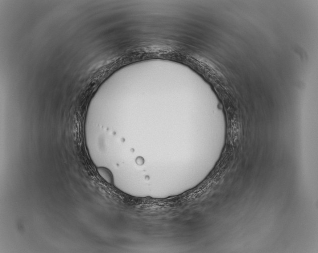 X0000110690917200907101145