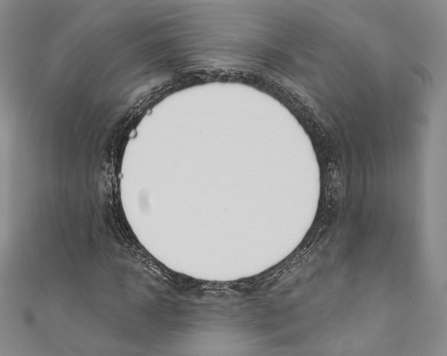 X0000110690918200907101145