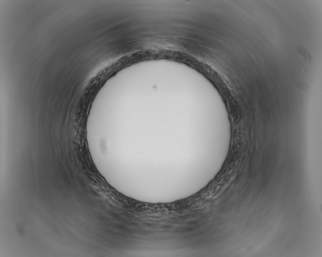 X0000110690919200907101145