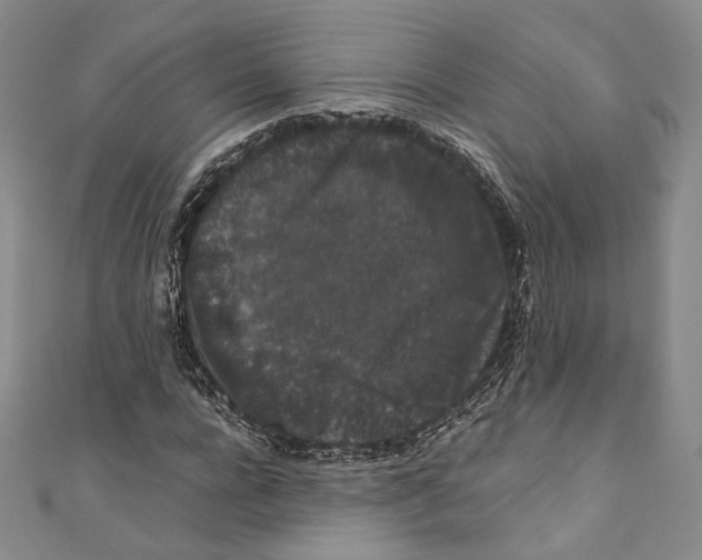 X0000110690920200907101145