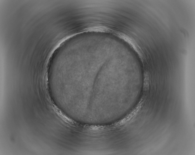 X0000110690923200907101145