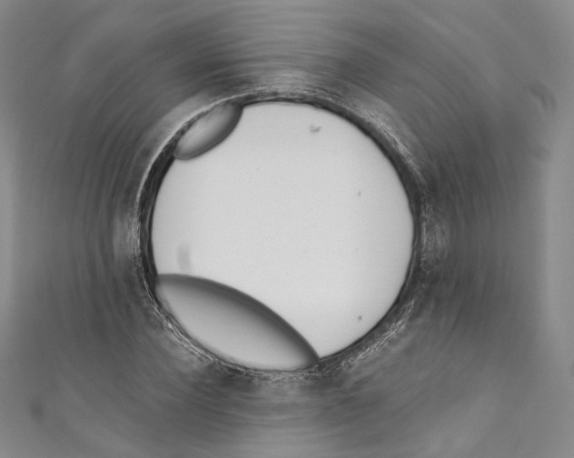 X0000110690924200907101145