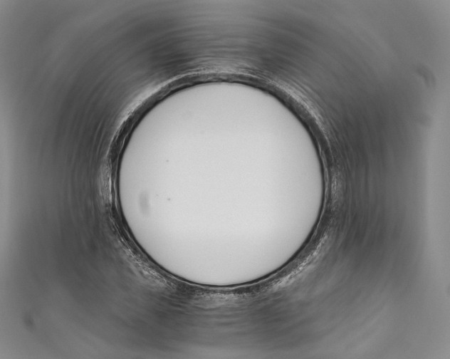 X0000110690925200907101145