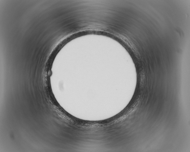 X0000110690926200907101145