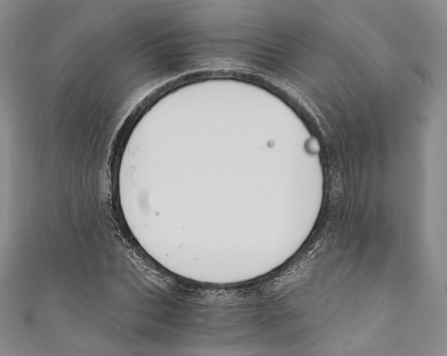 X0000110690927200907101145