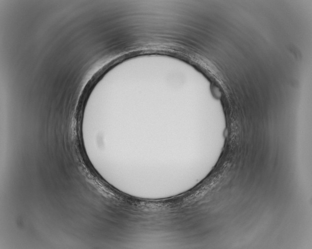 X0000110690928200907101145