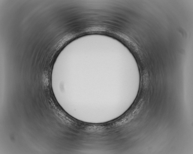 X0000110690929200907101145