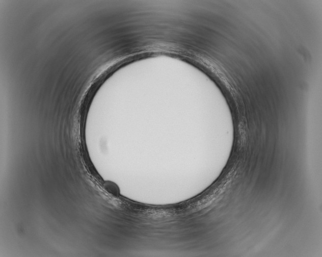 X0000110690931200907101145