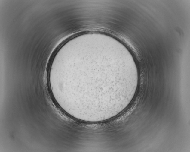 X0000110690932200907101145