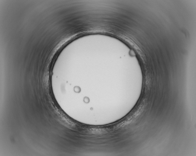 X0000110690933200907101145