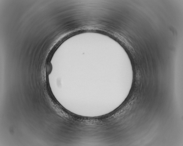 X0000110690934200907101145