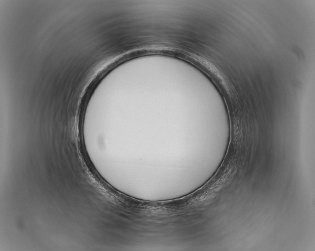 X0000110690935200907101145