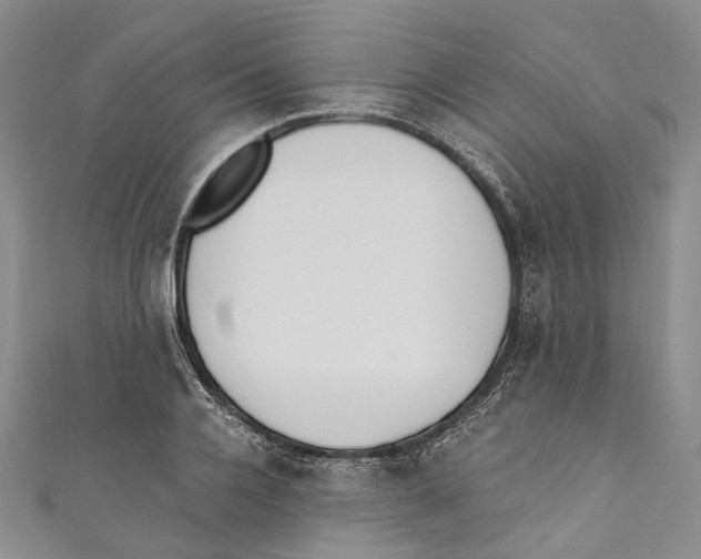 X0000110690936200907101146