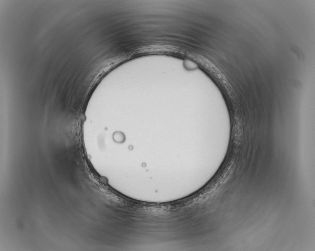 X0000110690937200907101146