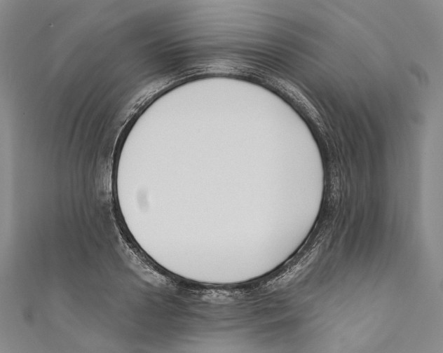 X0000110690938200907101146