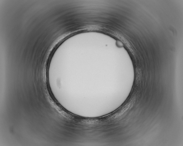 X0000110690939200907101146