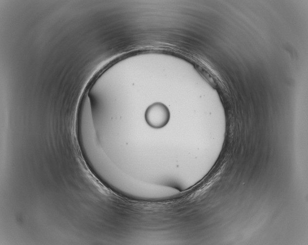 X0000110690940200907101146