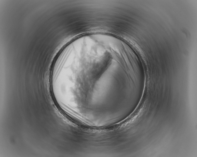 X0000110690941200907101146