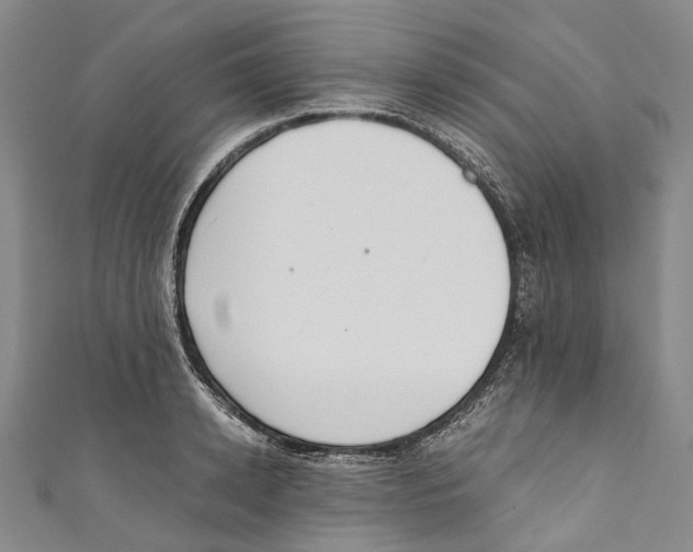 X0000110690942200907101146