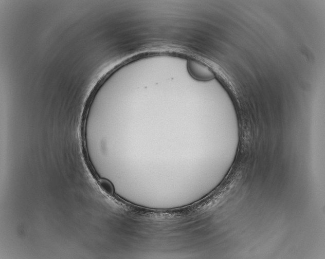 X0000110690943200907101146