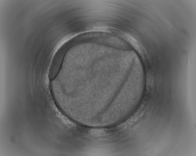 X0000110690944200907101146