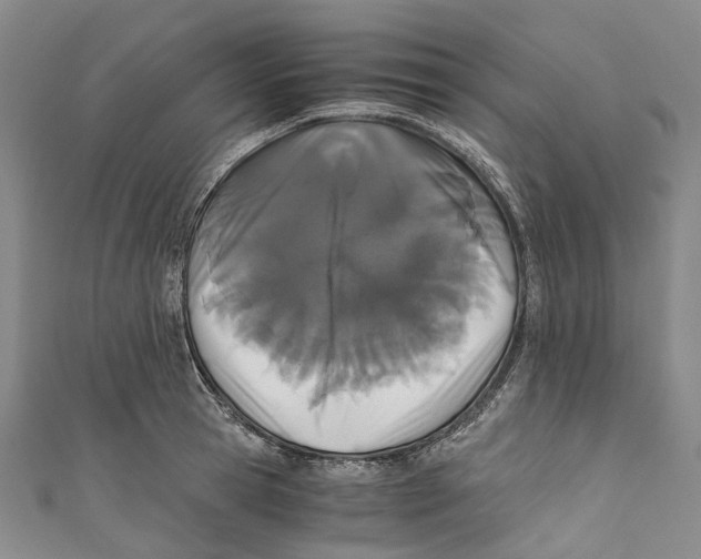 X0000110690945200907101146