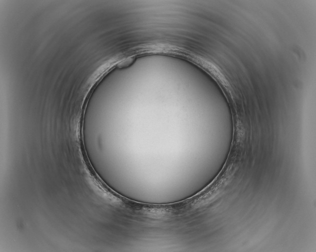 X0000110690946200907101146