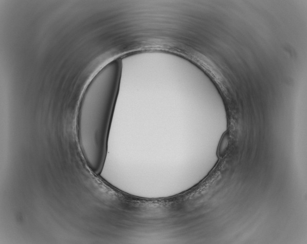 X0000110690948200907101146